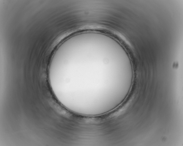 X0000092081025200709121101
