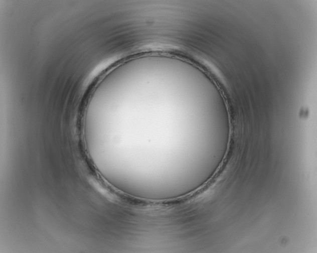 X0000092081026200709121101