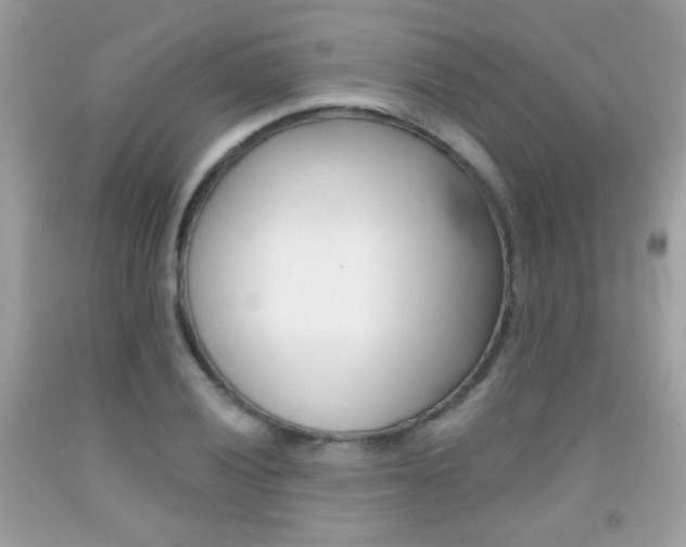 X0000092081028200709121101