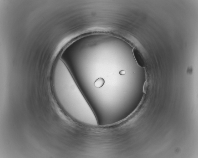 X0000092081030200709121101