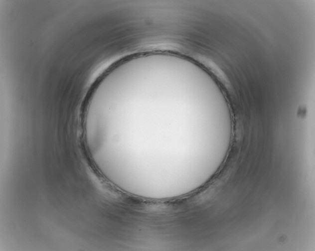 X0000092081031200709121101