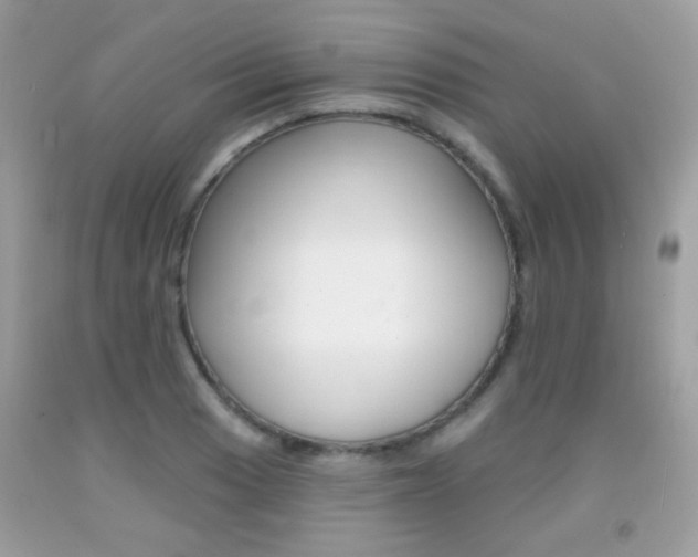 X0000092081033200709121101