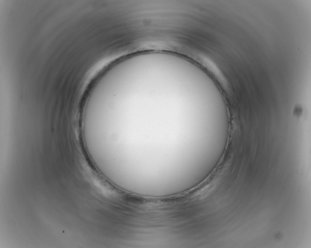 X0000092081035200709121101