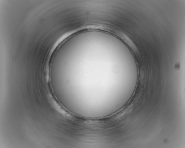 X0000092081036200709121101