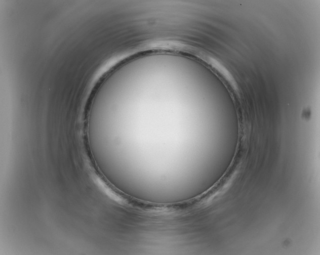 X0000092081037200709121102