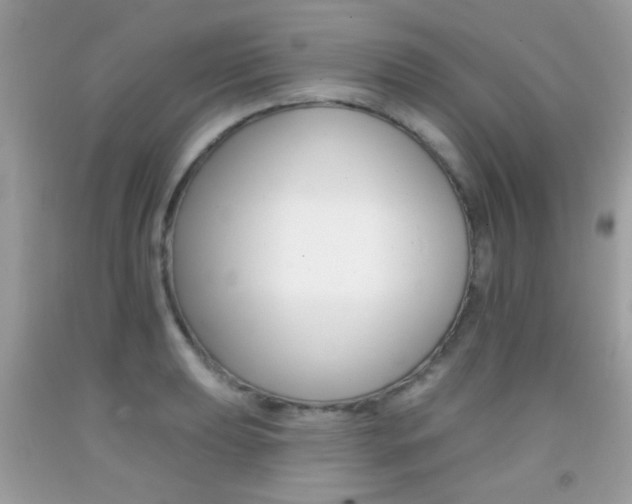 X0000092081039200709121102
