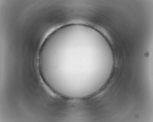X0000092081040200709121102