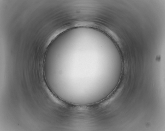 X0000092081041200709121102