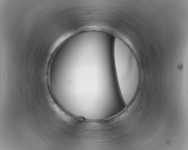 X0000092081042200709121102