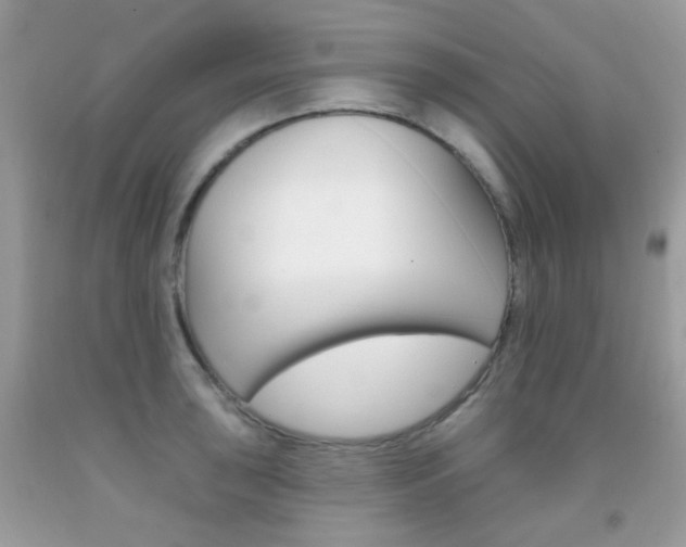 X0000092081043200709121102