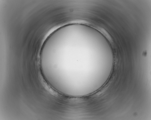 X0000092081044200709121102