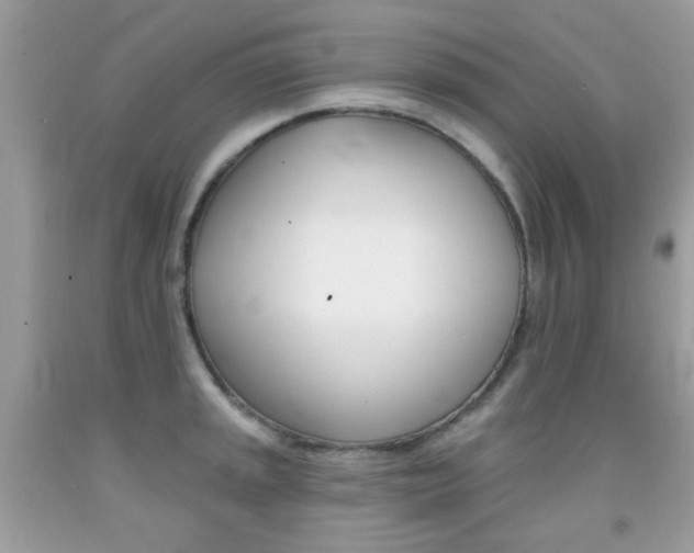 X0000092081045200709121102