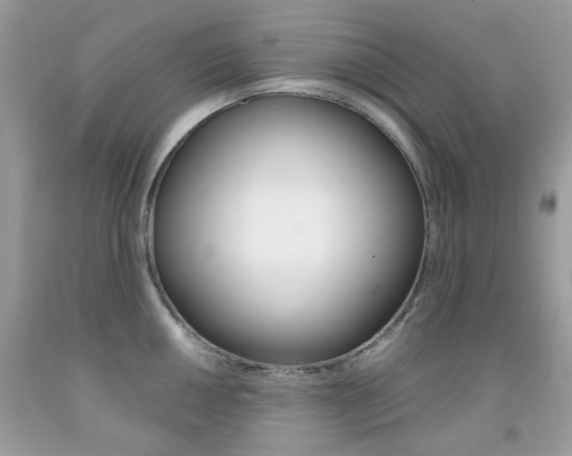X0000092081050200709121102