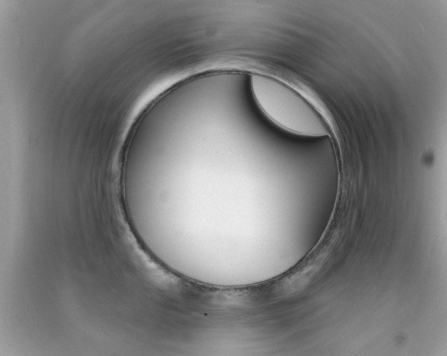 X0000092081053200709121102