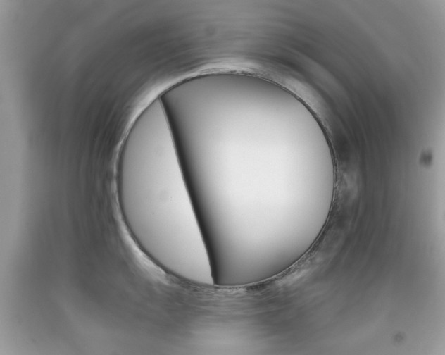 X0000092081055200709121102