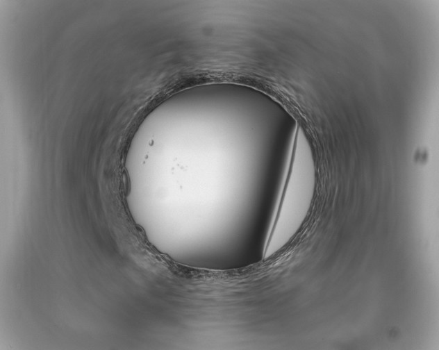X0000092081057200709121101