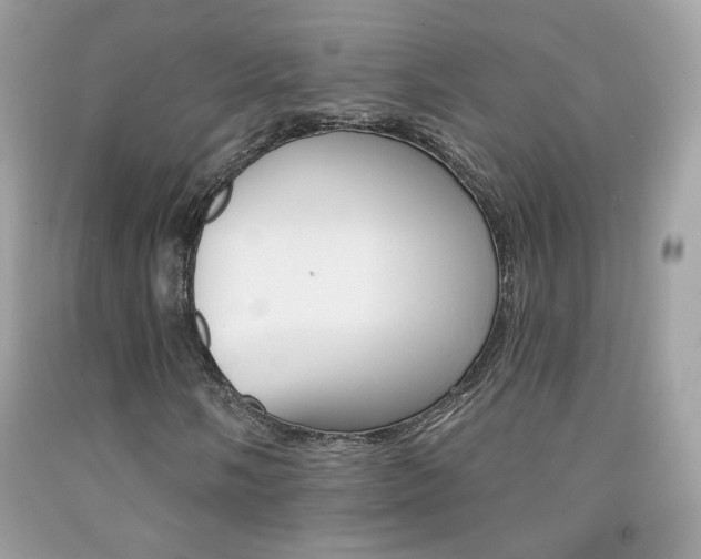 X0000092081058200709121101
