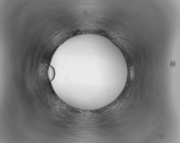 X0000092081059200709121101