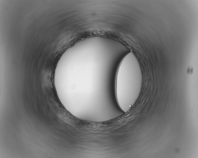 X0000092081060200709121101