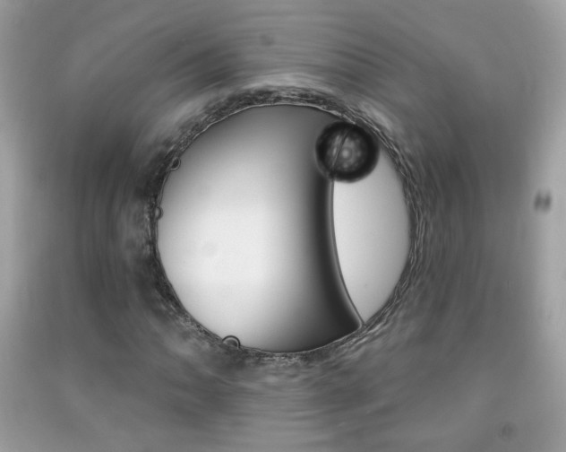 X0000092081062200709121101