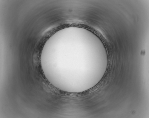 X0000092081063200709121101