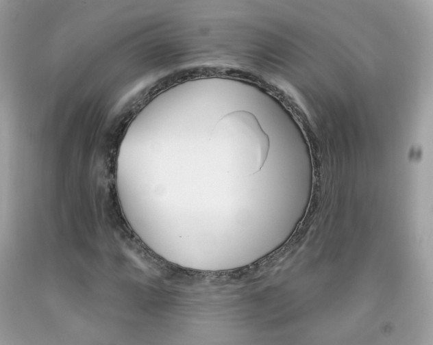 X0000092081064200709121101