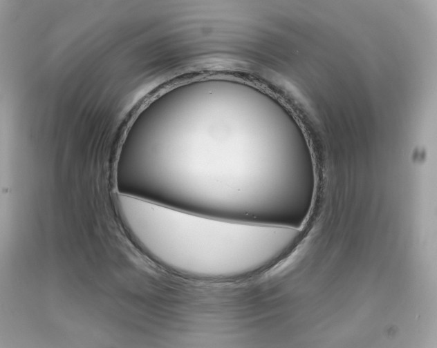 X0000092081065200709121101