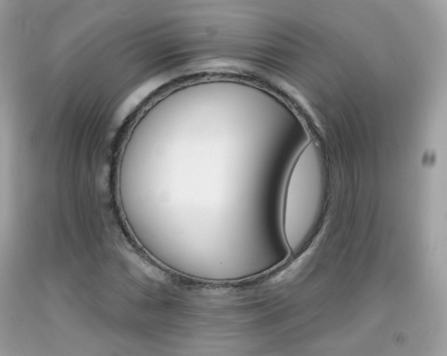 X0000092081066200709121101