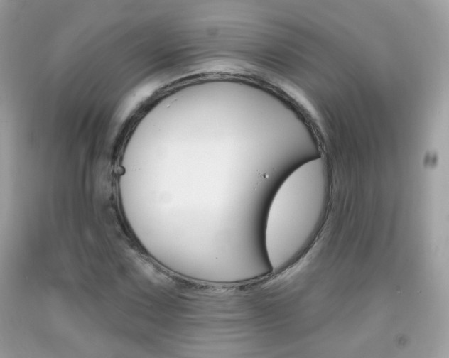 X0000092081067200709121101