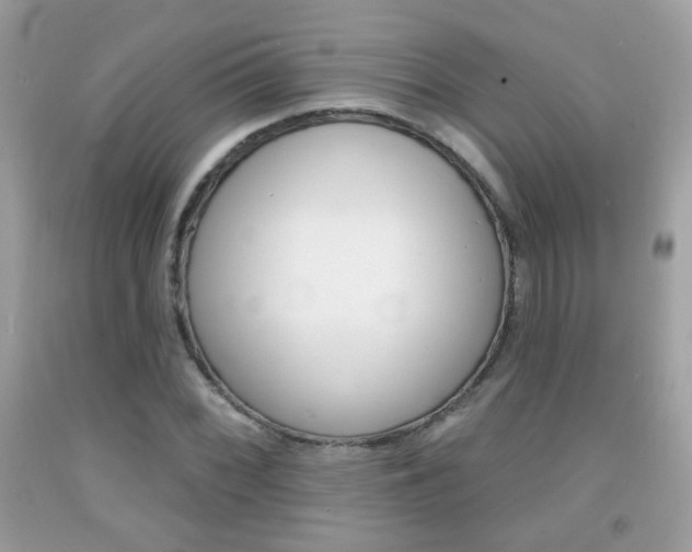 X0000092081068200709121101