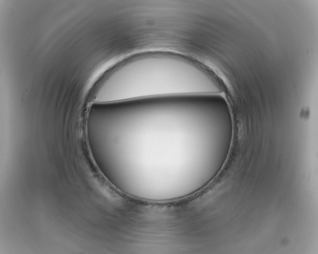 X0000092081069200709121101