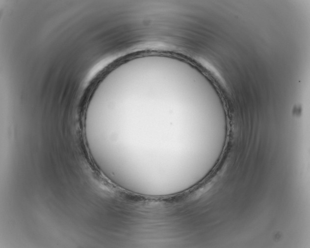 X0000092081070200709121101