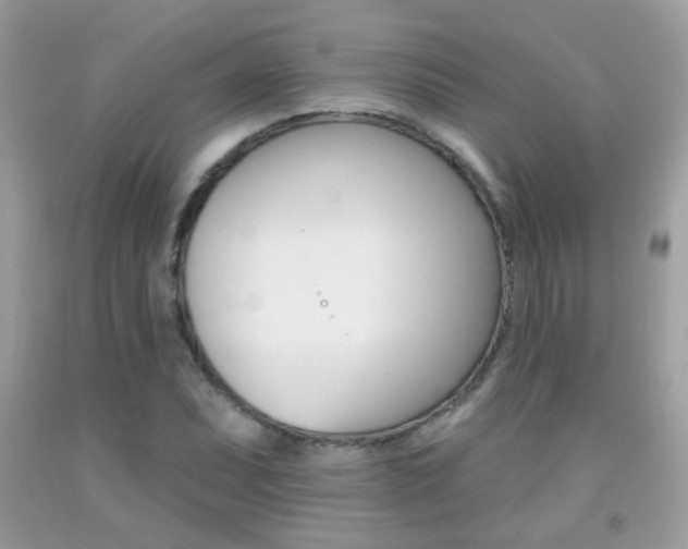 X0000092081071200709121101
