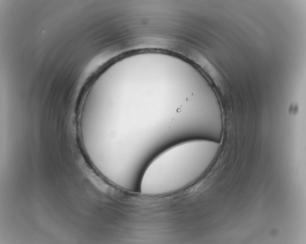 X0000092081072200709121101