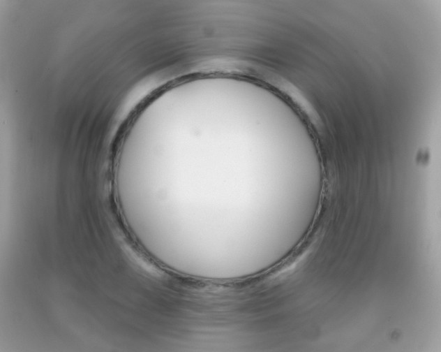 X0000092081075200709121101