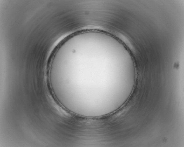 X0000092081076200709121101