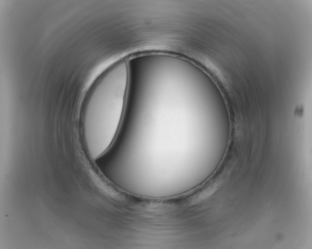 X0000092081077200709121101