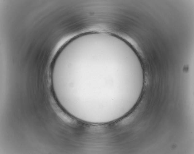 X0000092081078200709121101