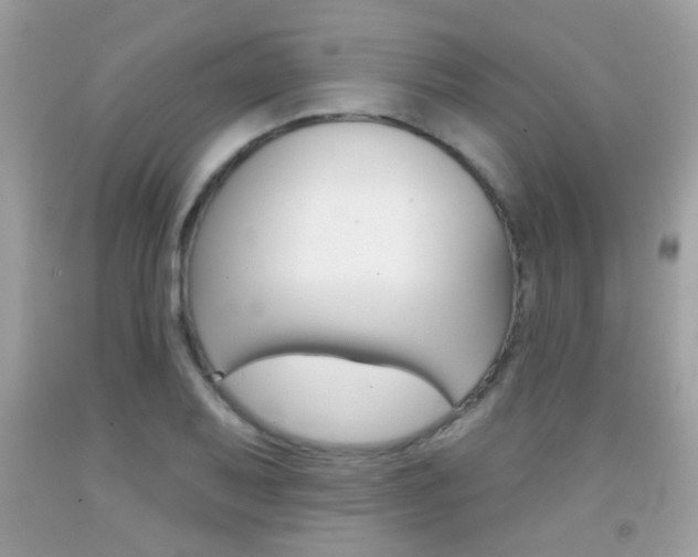 X0000092081079200709121101
