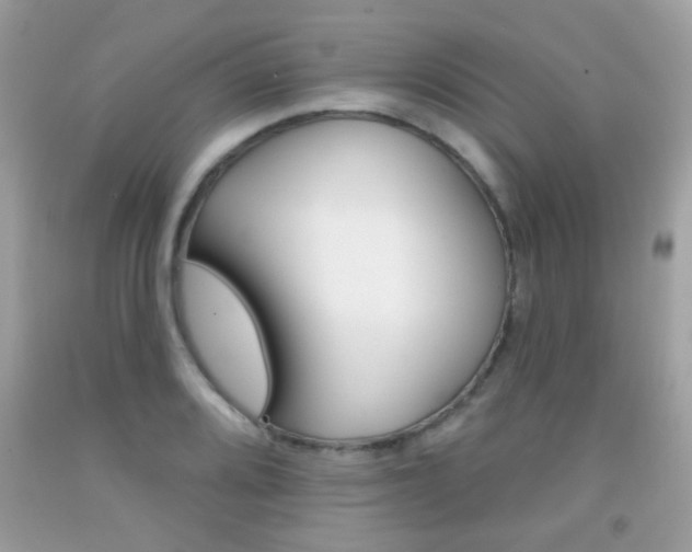 X0000092081080200709121101