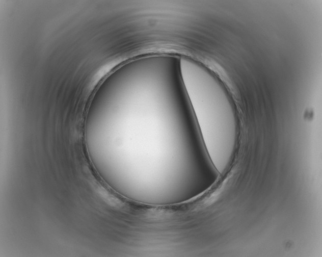 X0000092081081200709121101