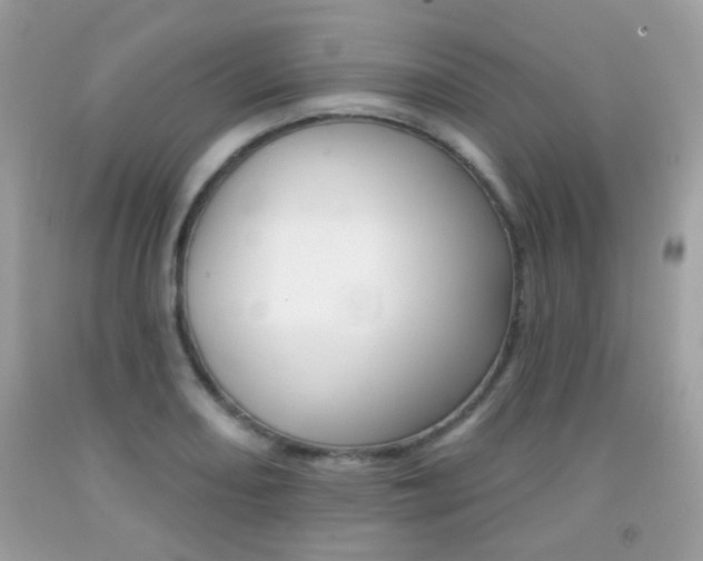 X0000092081082200709121101
