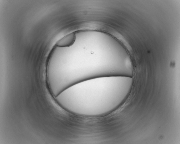 X0000092081083200709121101