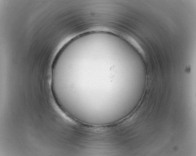 X0000092081084200709121101