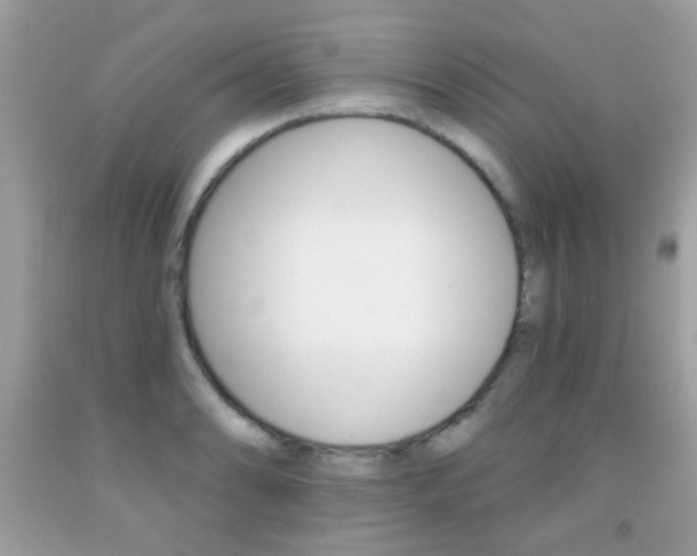 X0000092081086200709121101