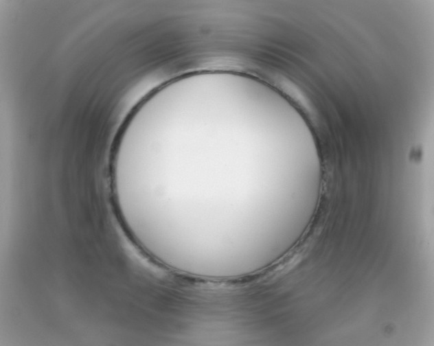 X0000092081087200709121101