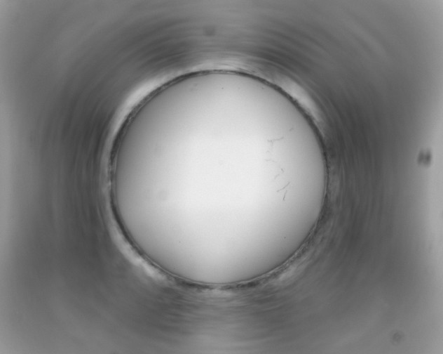 X0000092081088200709121101