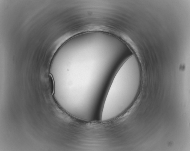 X0000092081089200709121101