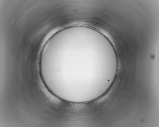 X0000092081090200709121101