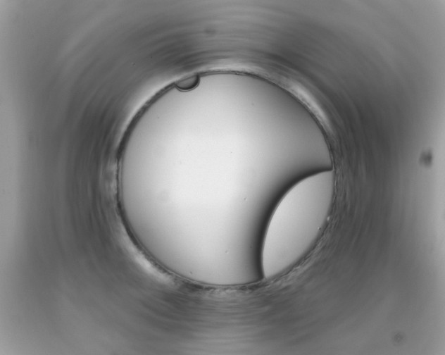 X0000092081092200709121101